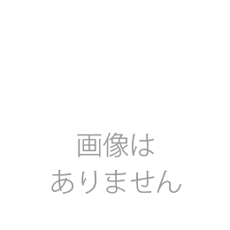 FontsSS 日本語フォントプレミアム 200書体
